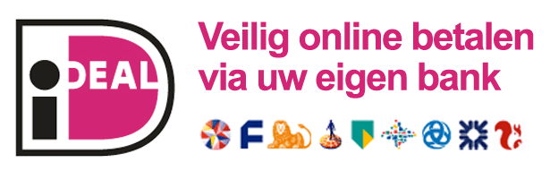 Hoe Je Het Beste Kan Storten En Uitbetalen Met iDeal