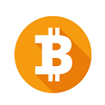 Bitcoin Coin